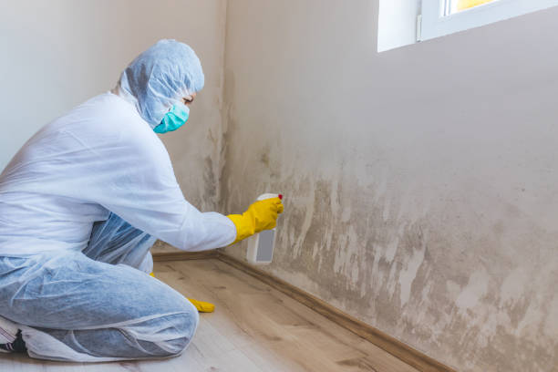 Mold Remediation specialist working in Paris